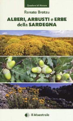 Alberi, arbusti e erbe della Sardegna